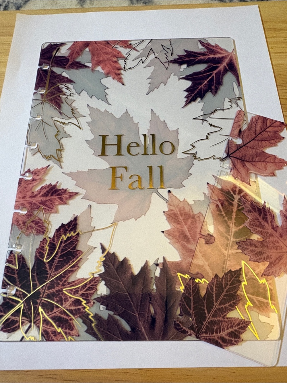 Jane’s Agenda October 2025 Jr Discbound planner cover and page finder - Picture 6 of 6